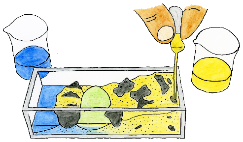 Surface model of a watershed